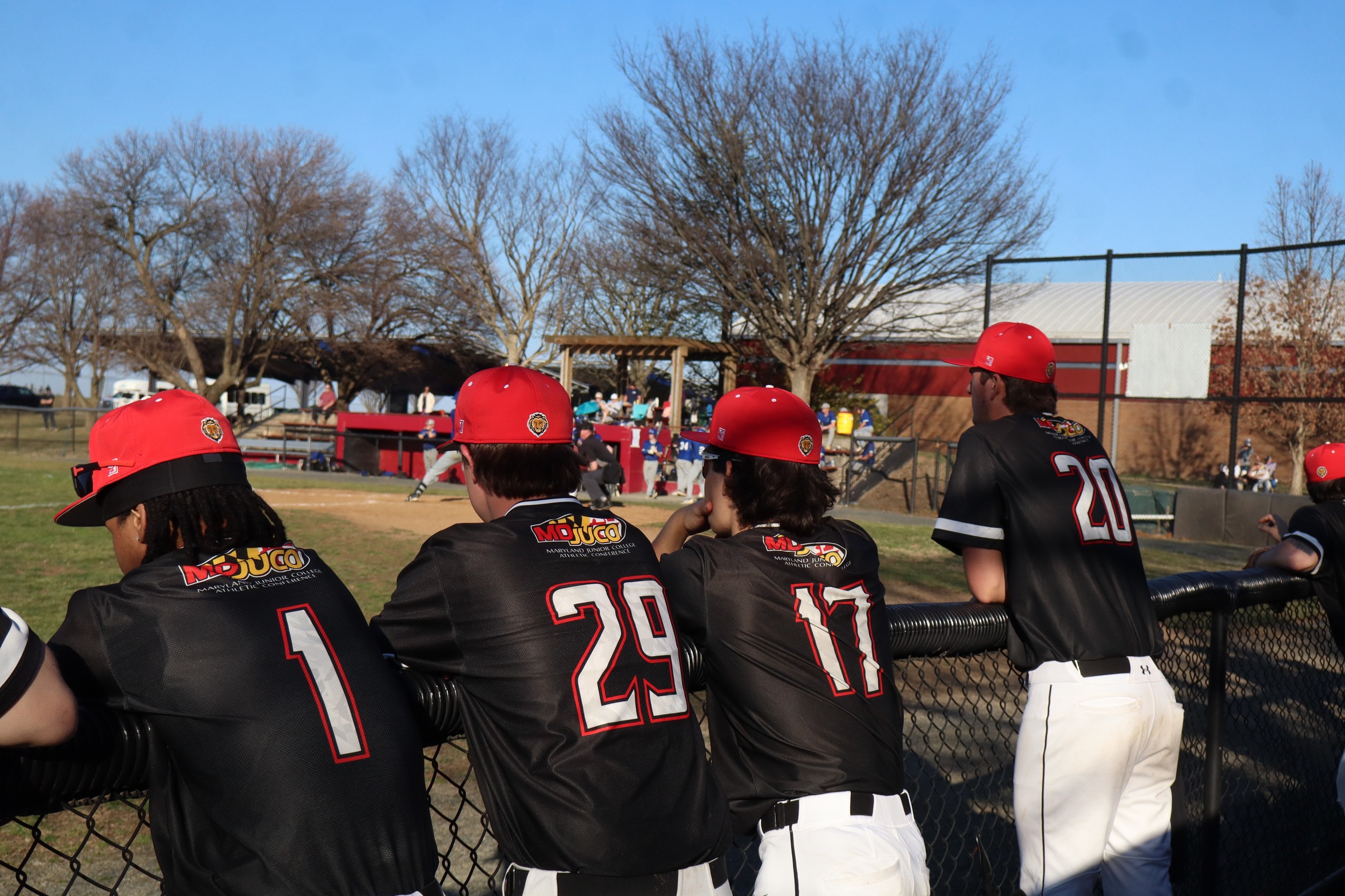 Lions Drop DH vs AACC
