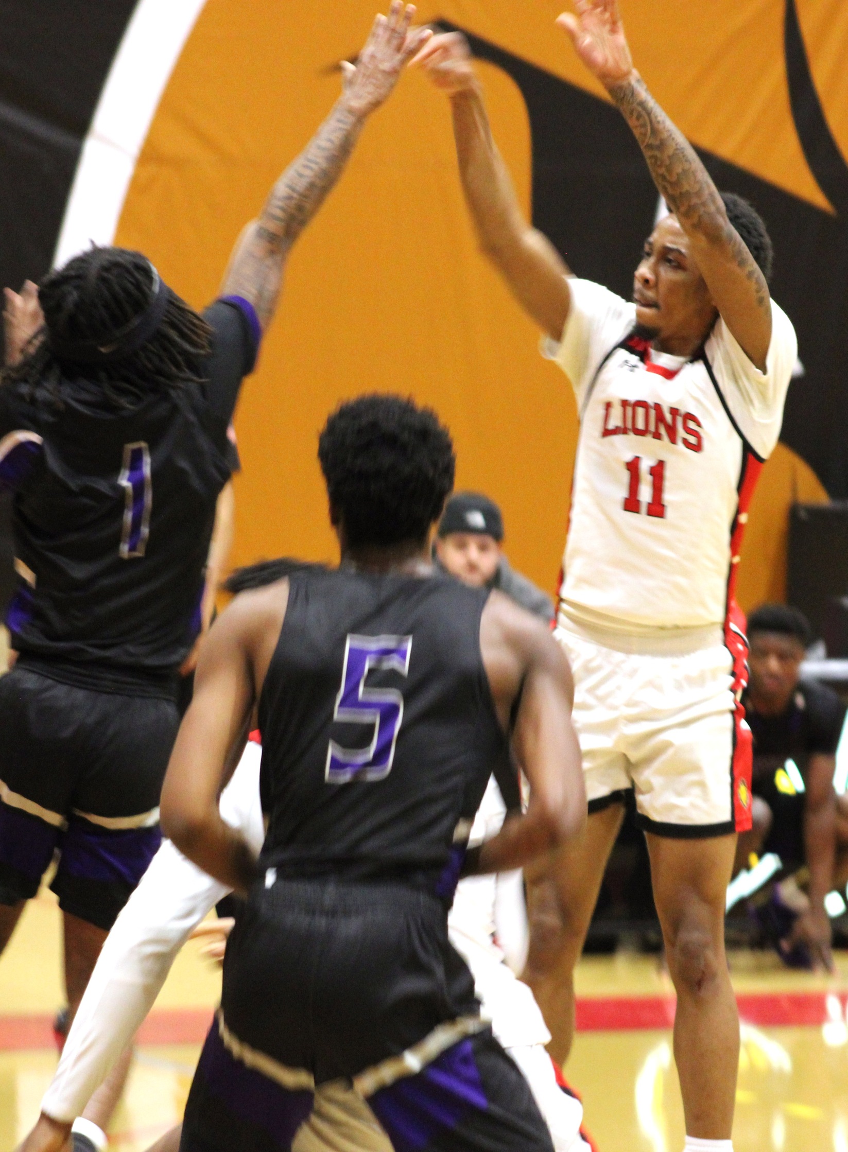 Lions Run Fastest When Hungry